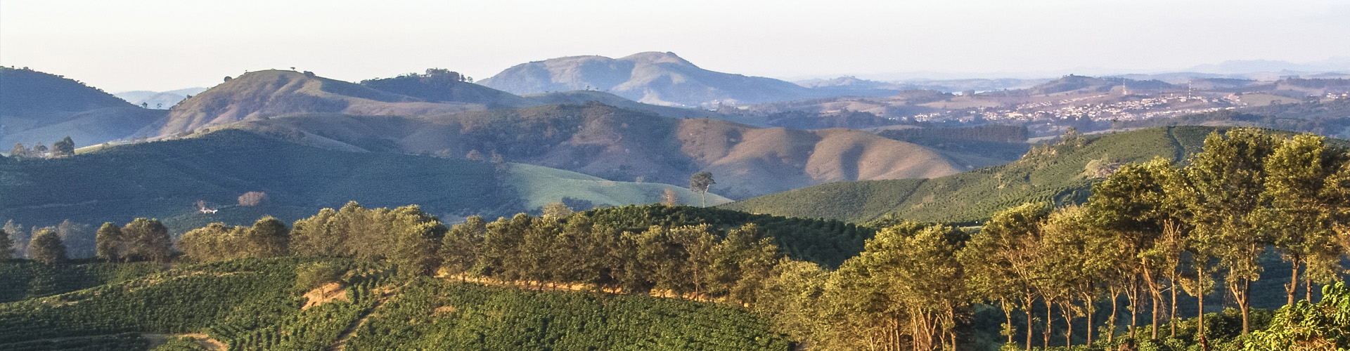 REGIOES VS2 Matas de Rondônia — Casa Brasil Coffees